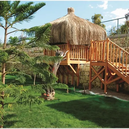 Commodore Elite & Ultra (adults Only)